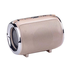 Gold / Charging Version
