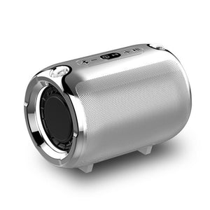 Silver / Charging Version